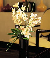 zmit Suadiye kaliteli taze ve ucuz iekler  cam yada mika vazo ierisinde dal orkide