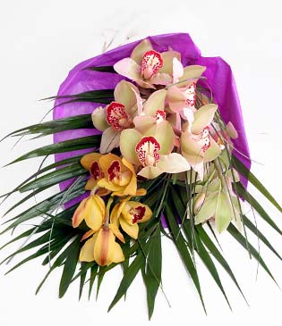  zmit Acsu livas nternetten iek siparii  1 adet dal orkide buket halinde sunulmakta